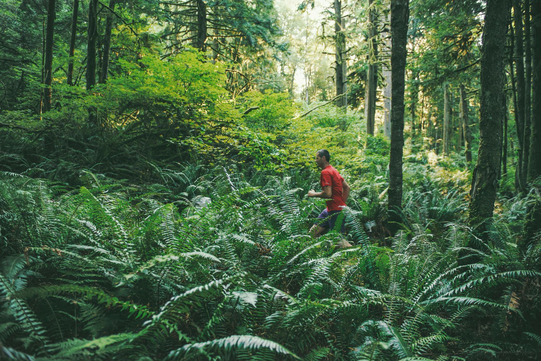 A man in a red shirt is running through a lush green forest.