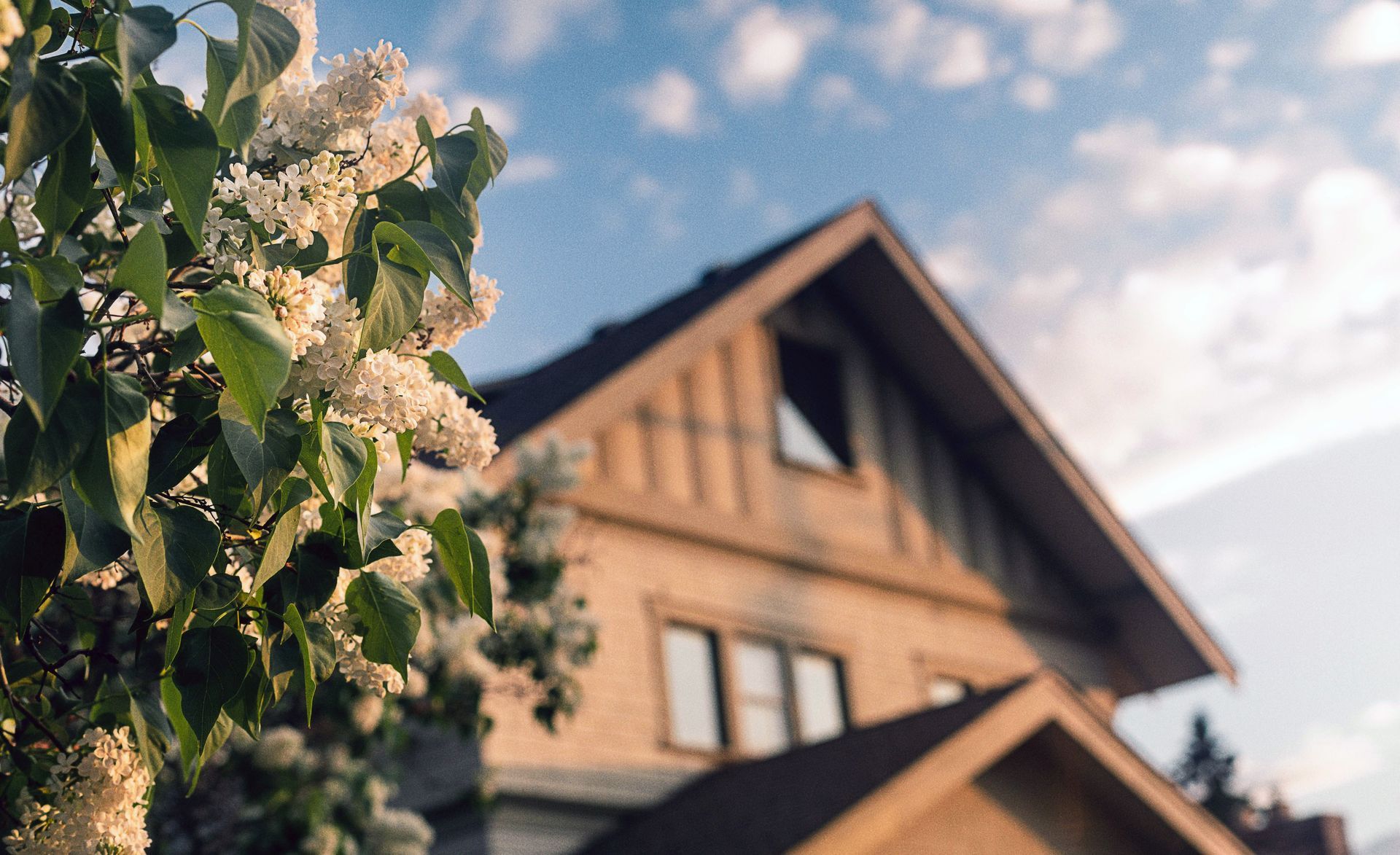 A house with flowers in front of it and a tree in the foreground.