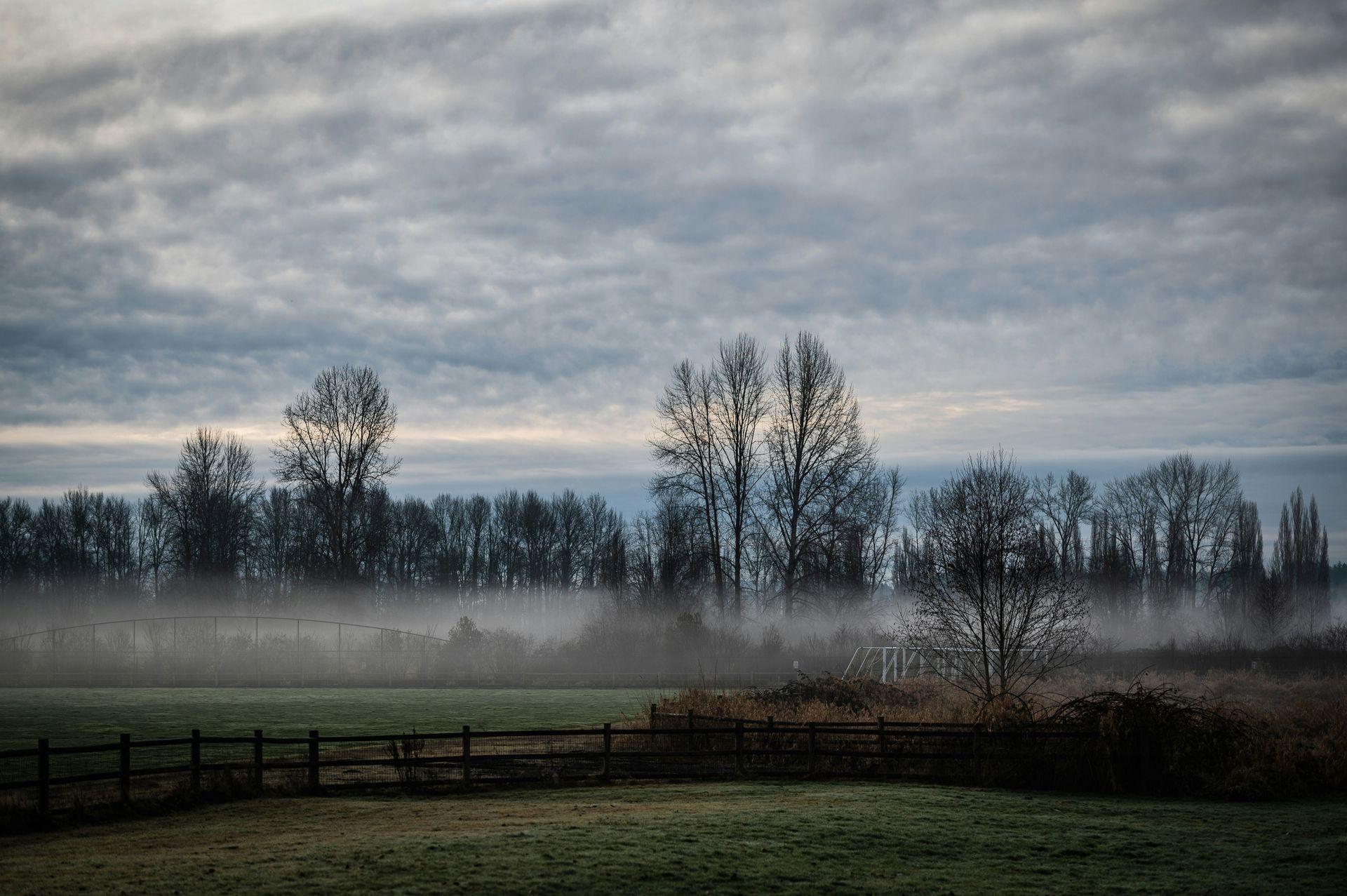 A foggy field with trees in the background and a fence in the foreground.