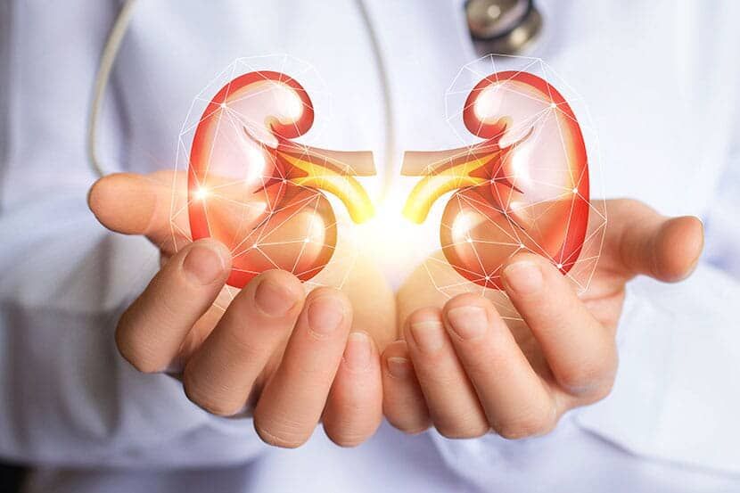 DR. GERARDO GARFIAS CHÁVEZ URÓLOGO - Consulta general de urología en Texcoco