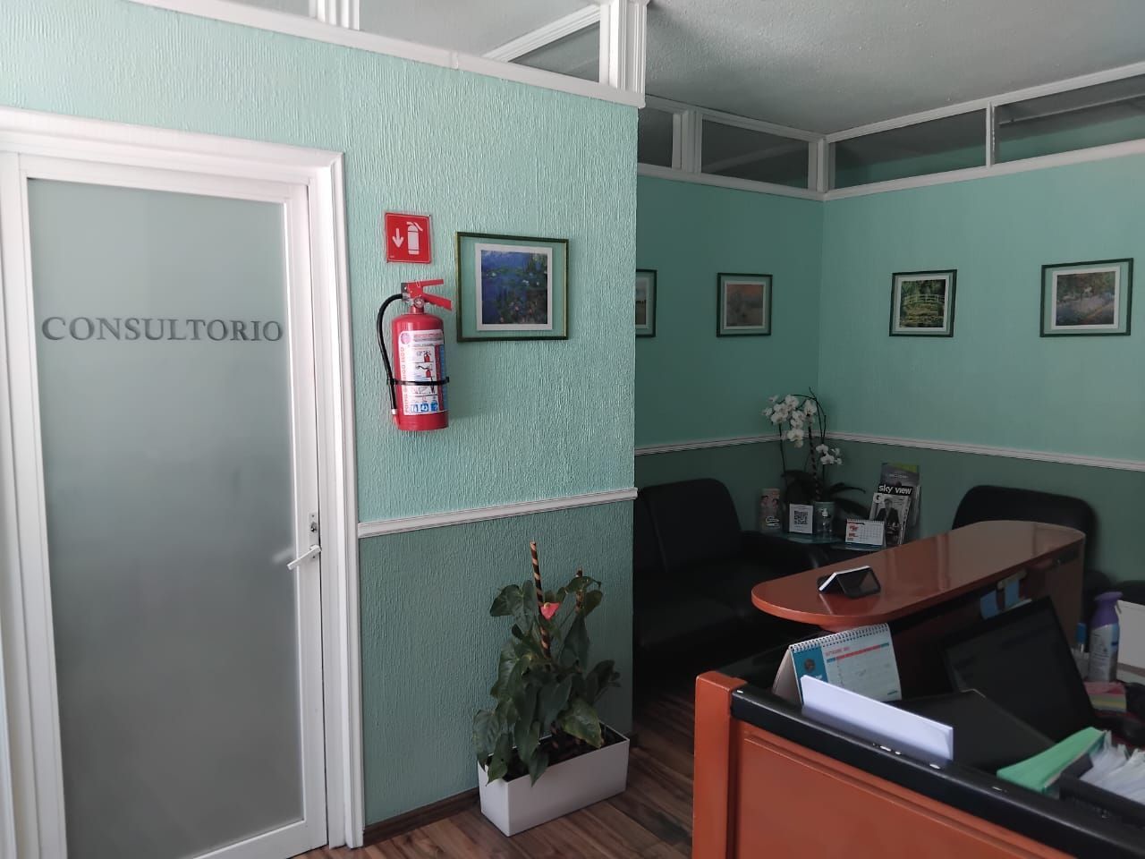 DR. GERARDO GARFIAS CHÁVEZ URÓLOGO - Litiasis renal