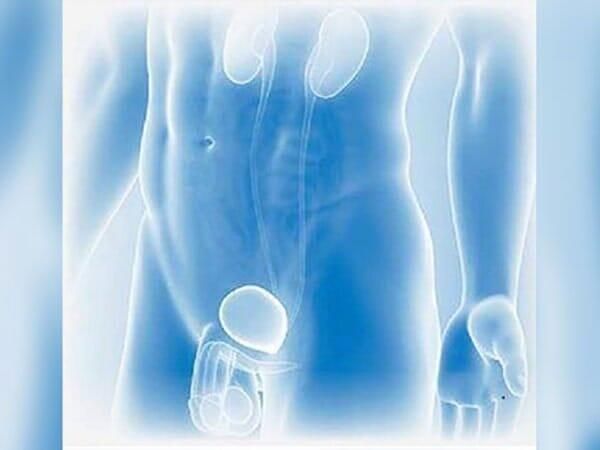 DR. GERARDO GARFIAS CHÁVEZ URÓLOGO - Consulta general de urología