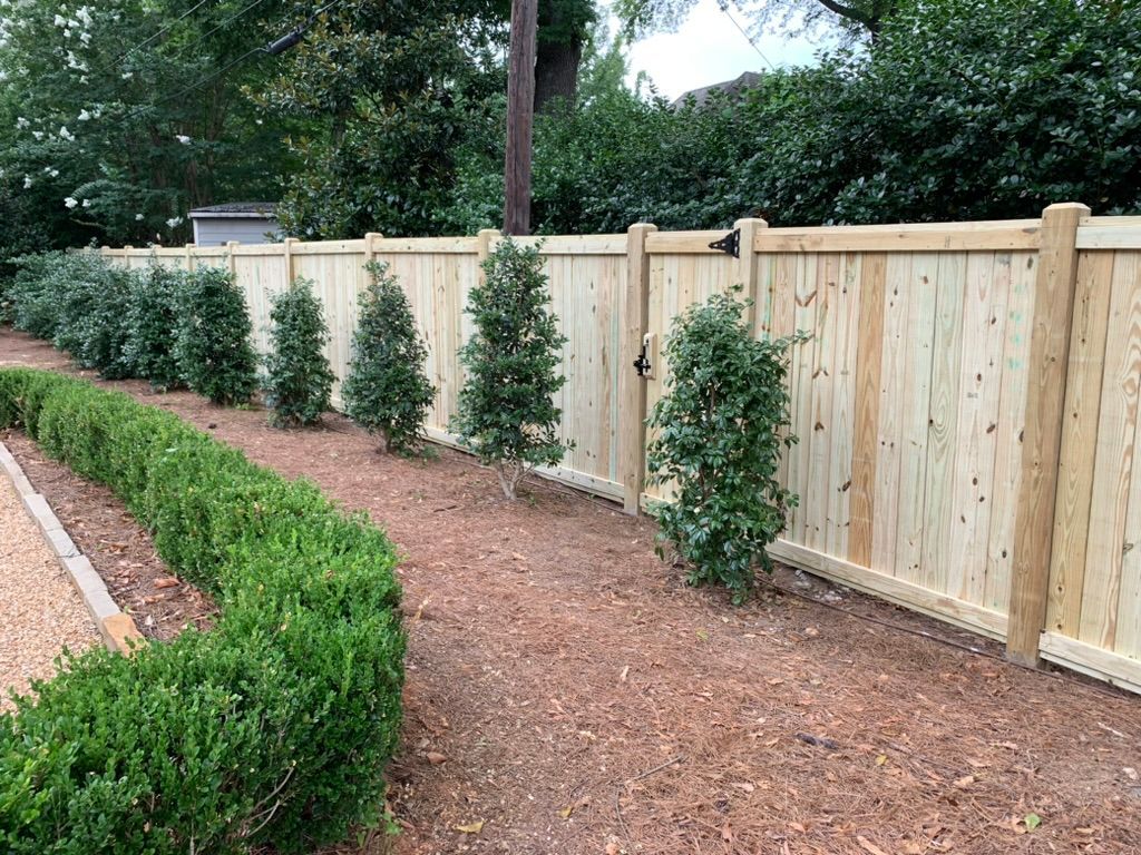 A wooden fence surrounds a garden with trees and bushes.