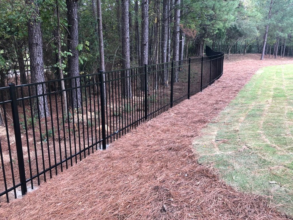 A black metal fence surrounds a lush green field.