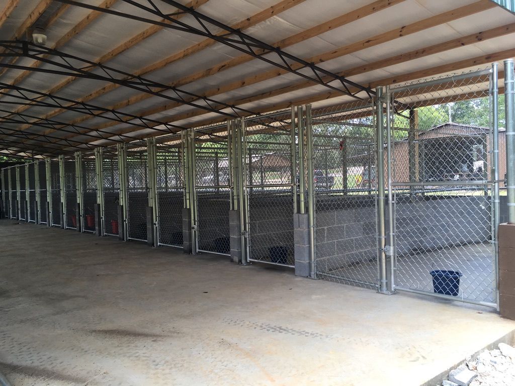A row of dog kennels under a wooden roof.