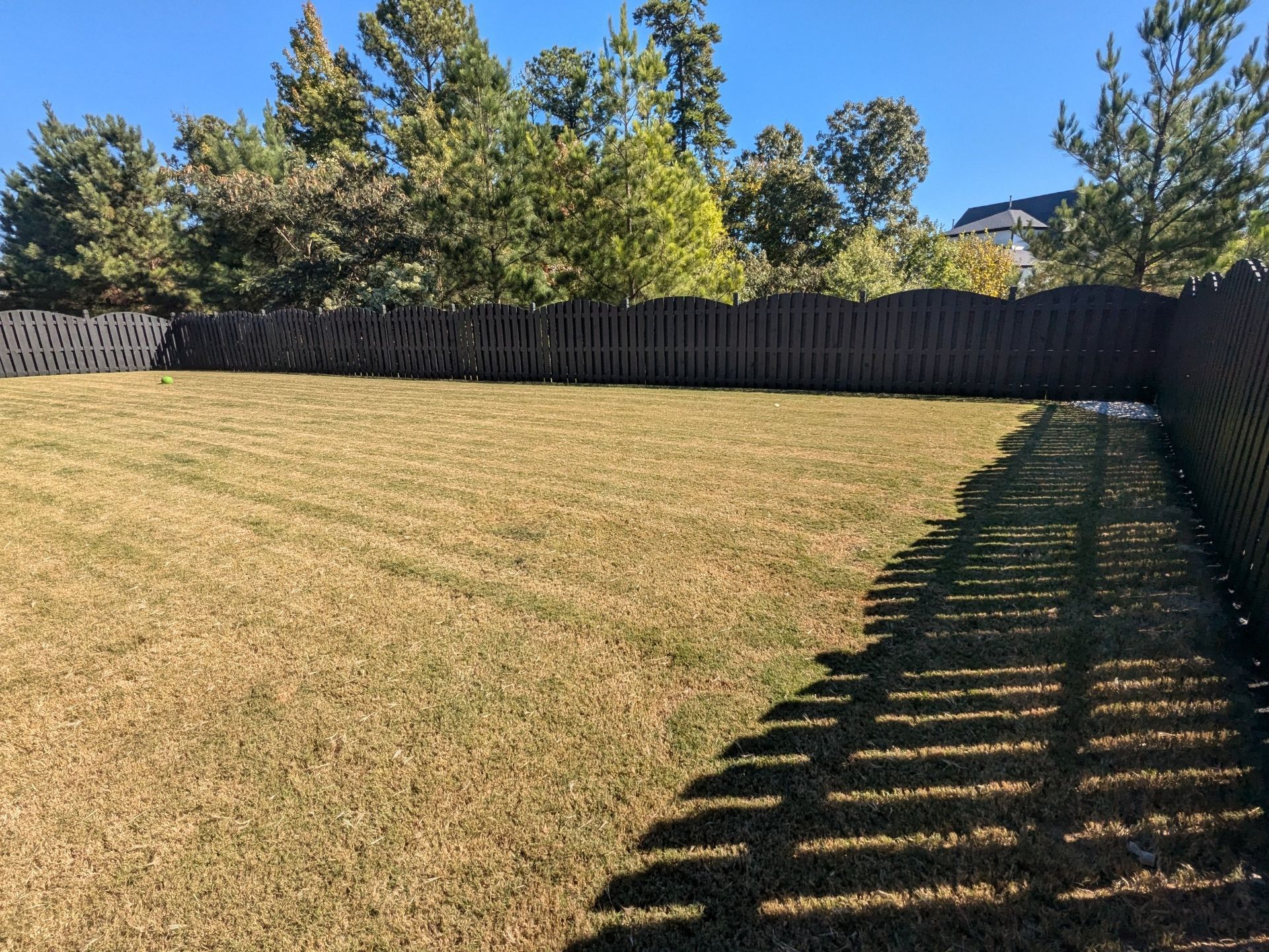 A wooden fence surrounds a lush green field