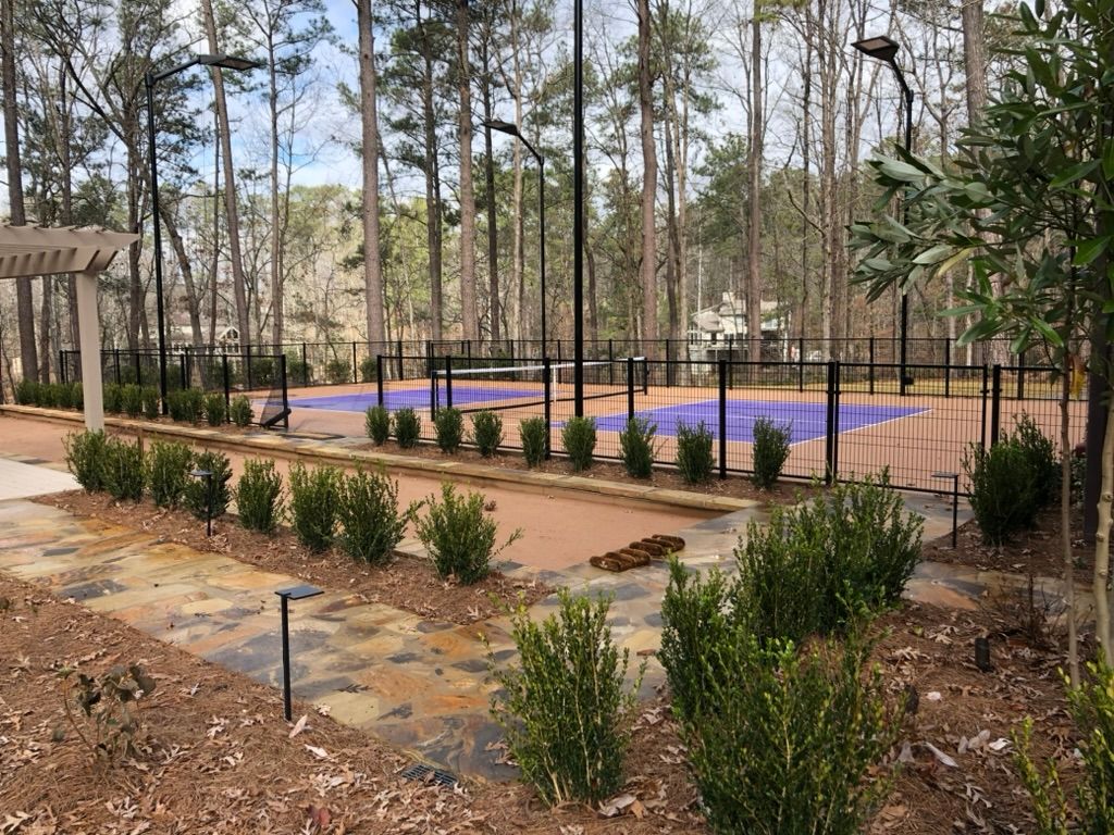 A basketball court in the middle of a forest surrounded by trees.