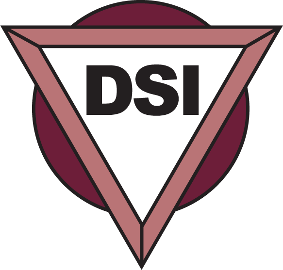 A triangle with the word dsi on it