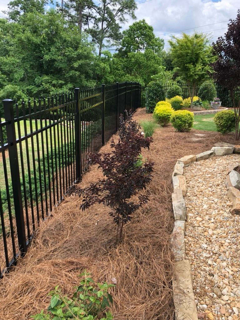 A black fence surrounds a garden with trees and bushes.
