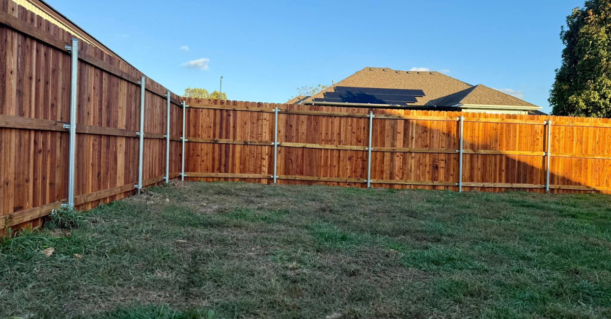 A wooden fence surrounds a grassy backyard, with a house visible in the background under a blue sky.