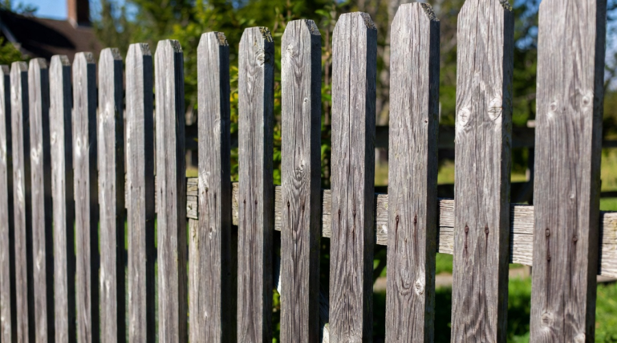 Wooden picket fence, weathered gray, in front of greenery under a blue sky.