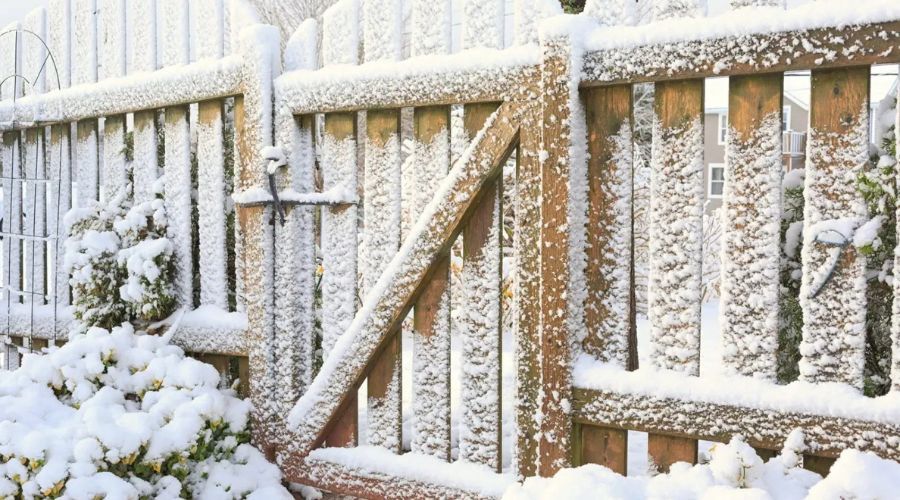 Snow-covered wooden privacy fence and gate during winter
