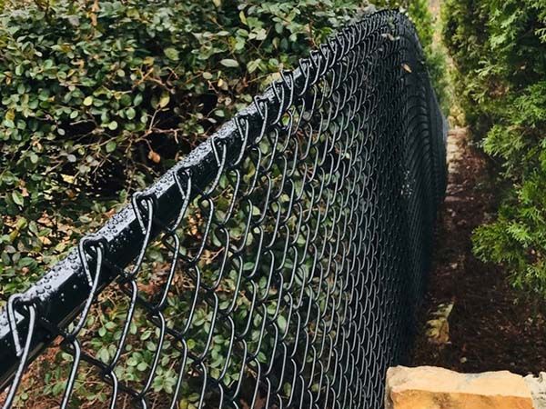 A black chain link fence is surrounded by trees and bushes.