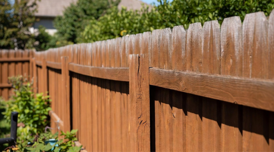 Wooden fence in a backyard, brown with a pointed top, plants in foreground and trees in the background.