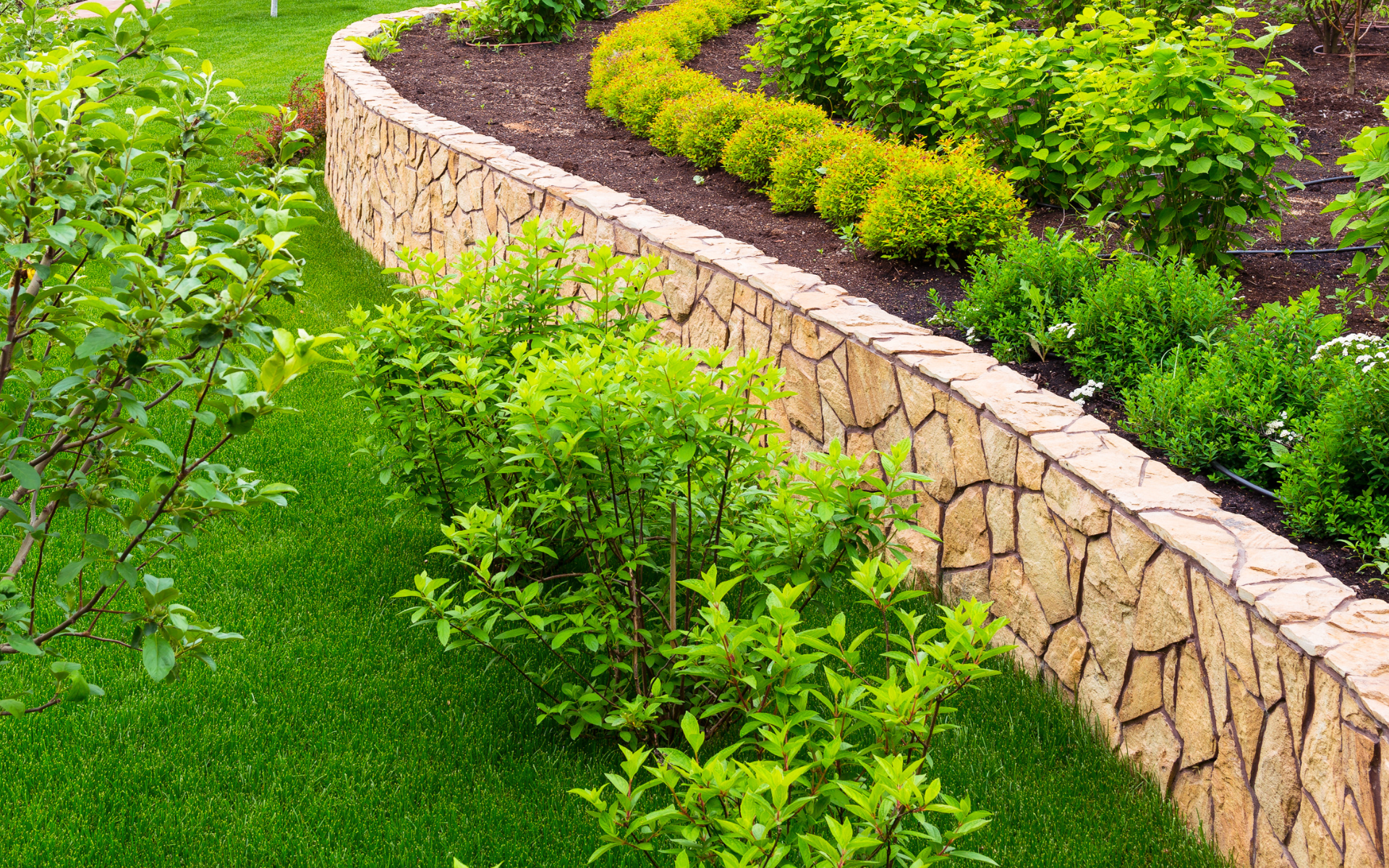 Tall retaining wall and tree installed by Poor Boy 