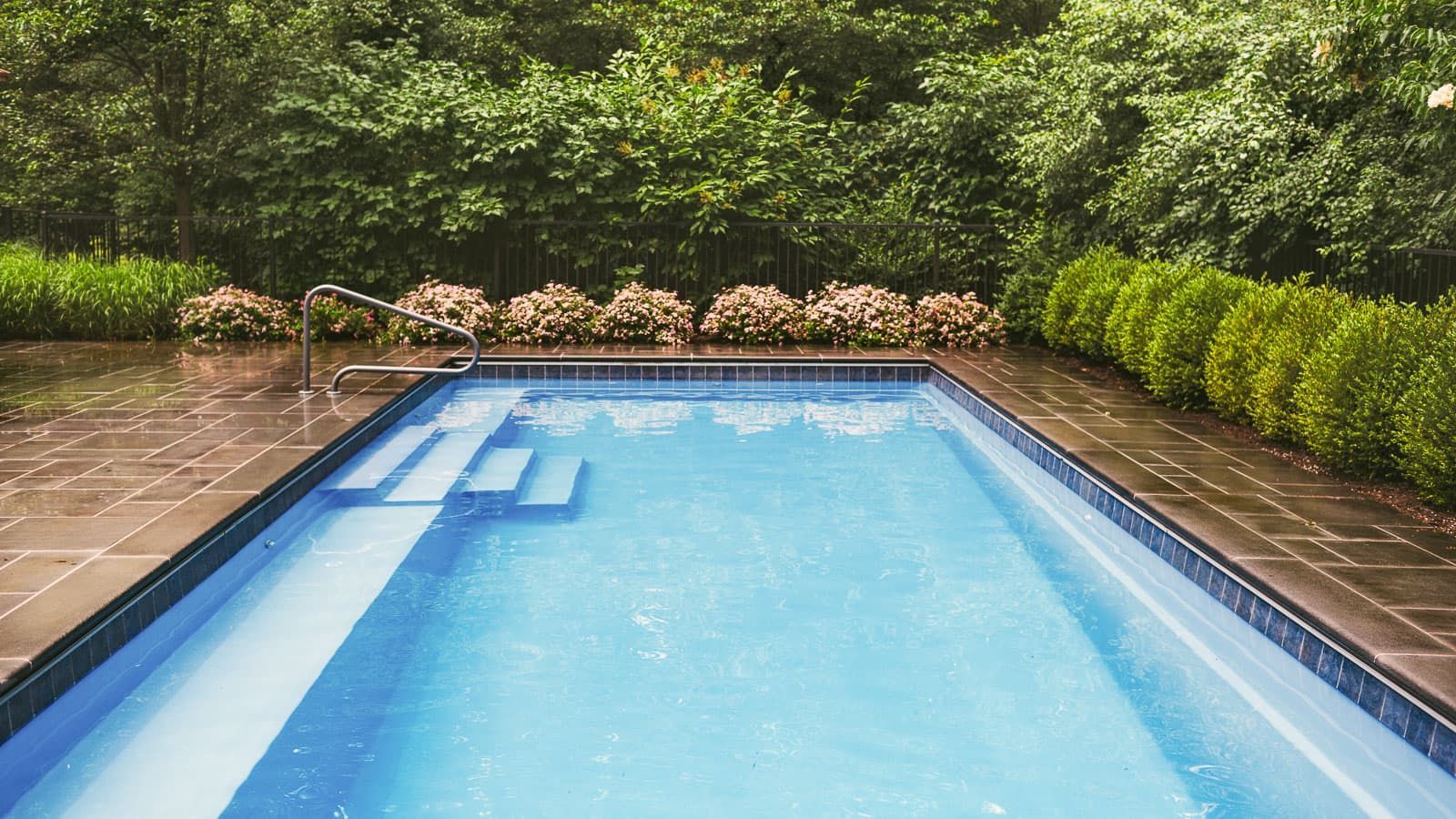 A large swimming pool surrounded by trees and bushes in a backyard.