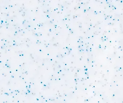 Close-up image of Seaside Sky Blue Pool Color. 