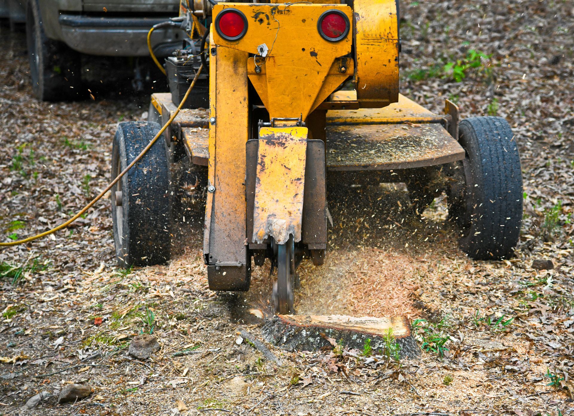 Yellow stump grinder removing a tree stump, spraying wood chips.