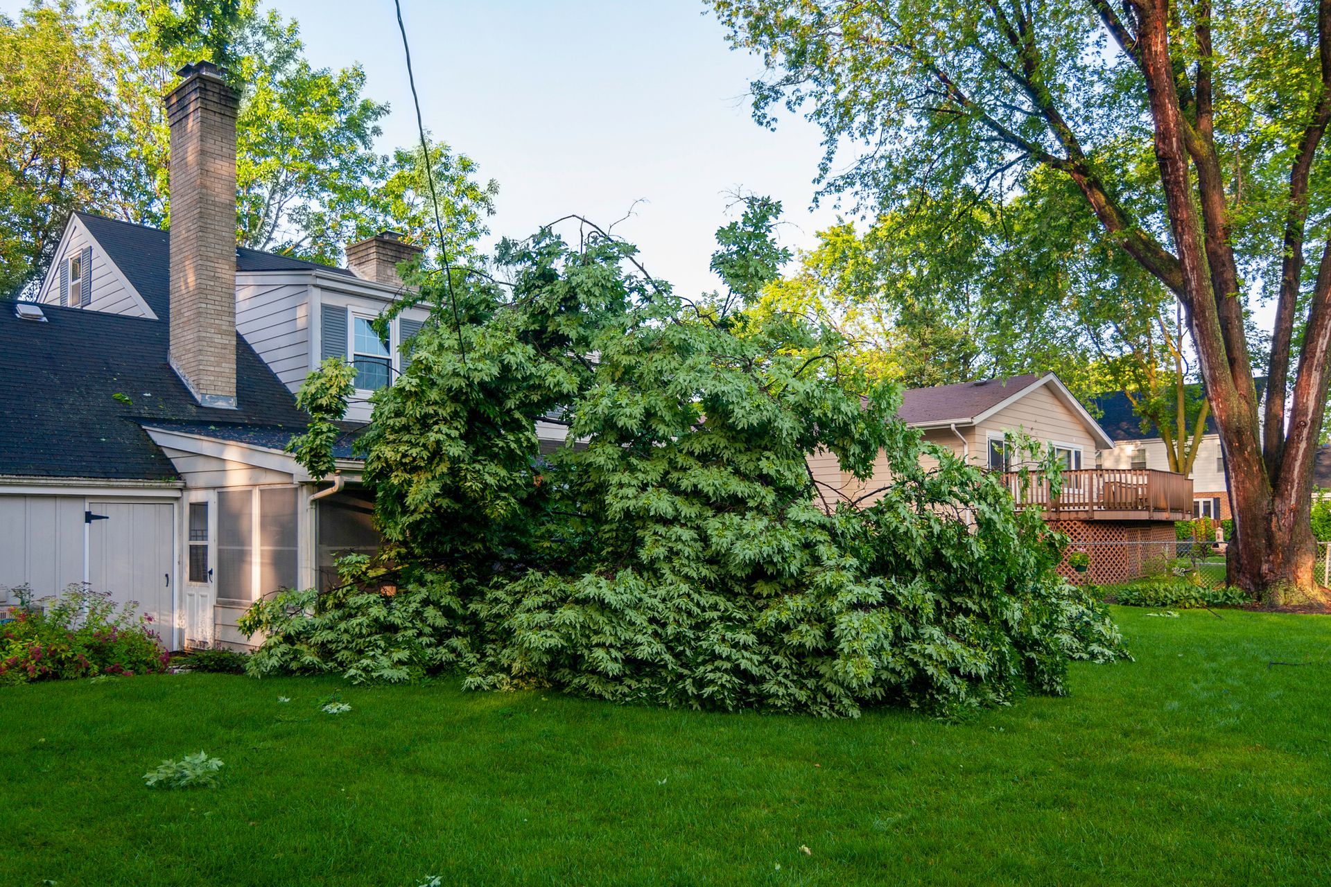 Tree fallen on a house, covering the roof and yard, with other houses and trees in the background. Tree fallen on a house, covering the roof and yard, with other houses and trees in the background.