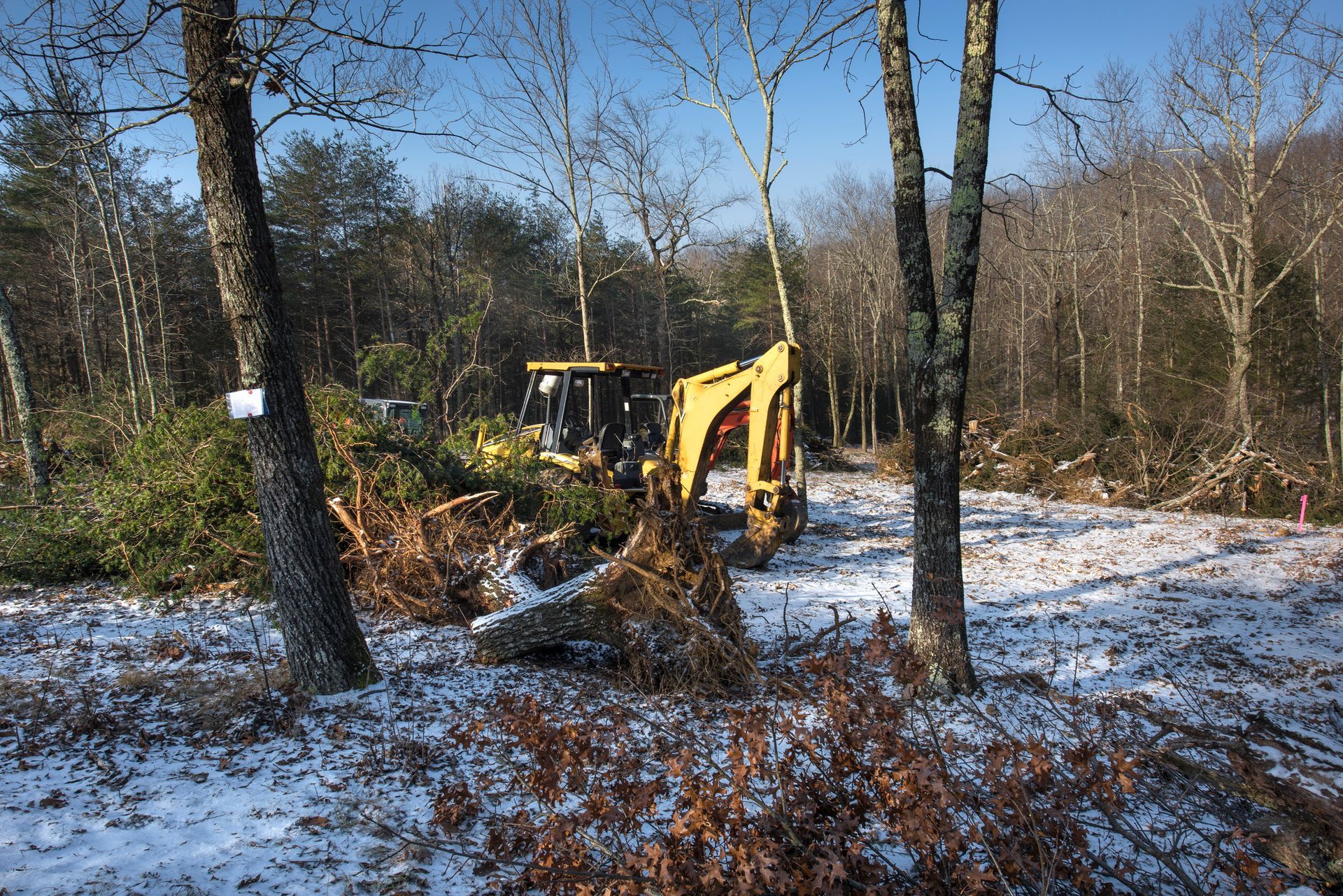 Yellow excavator clearing a snowy forest area, fallen branches and cut trees surround. Yellow excavator clearing a snowy forest area, fallen branches and cut trees surround.