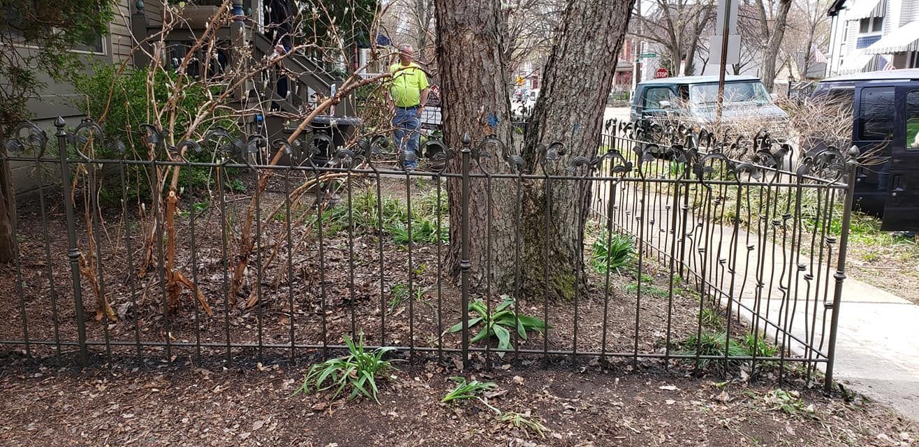 A person in a yellow shirt pruning a tree behind a decorative metal fence.