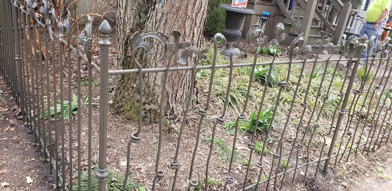 A wrought iron fence in front of a tree, surrounding a grassy area.