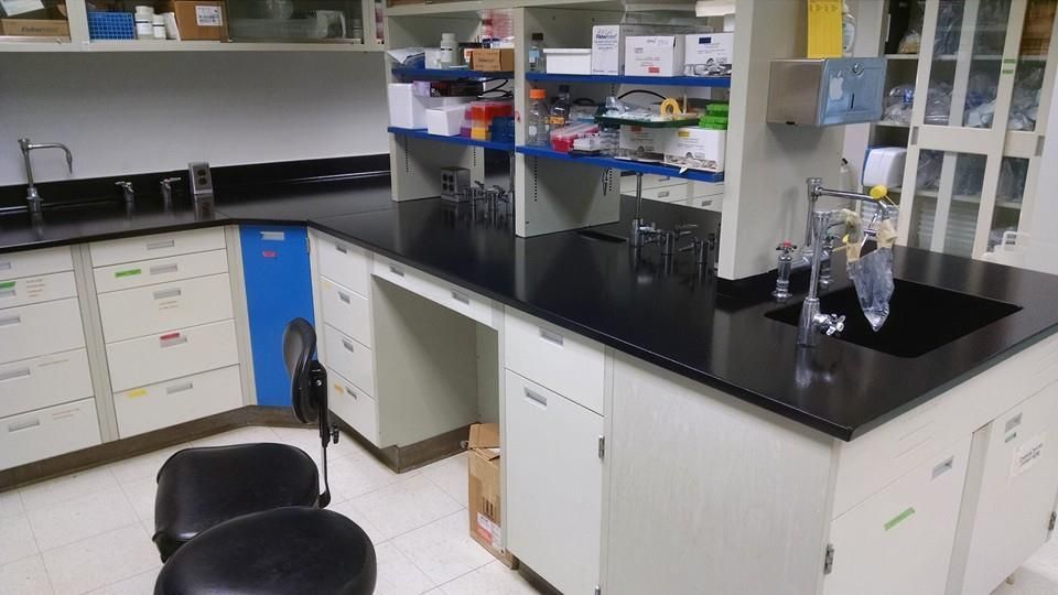Laboratory workspace with black countertops, cabinets, sinks, and shelves with supplies. A black chair sits in front.