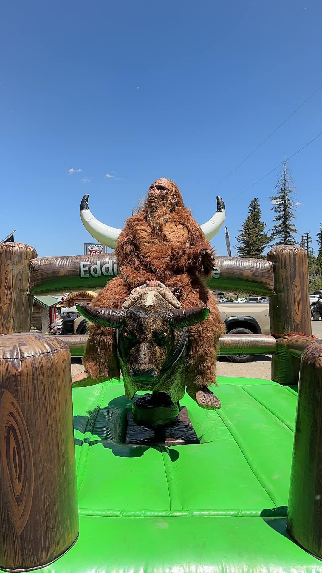 A person is riding a bull on a green mat.