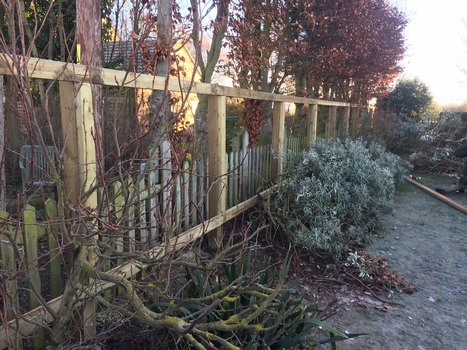 before image of patios