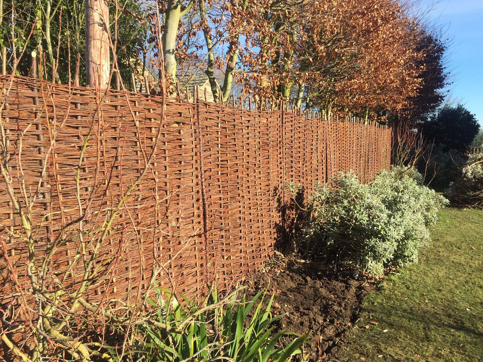 before image of patios