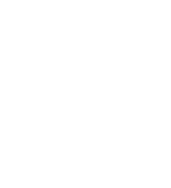 Logo Stefano Grossi caldaie e camini