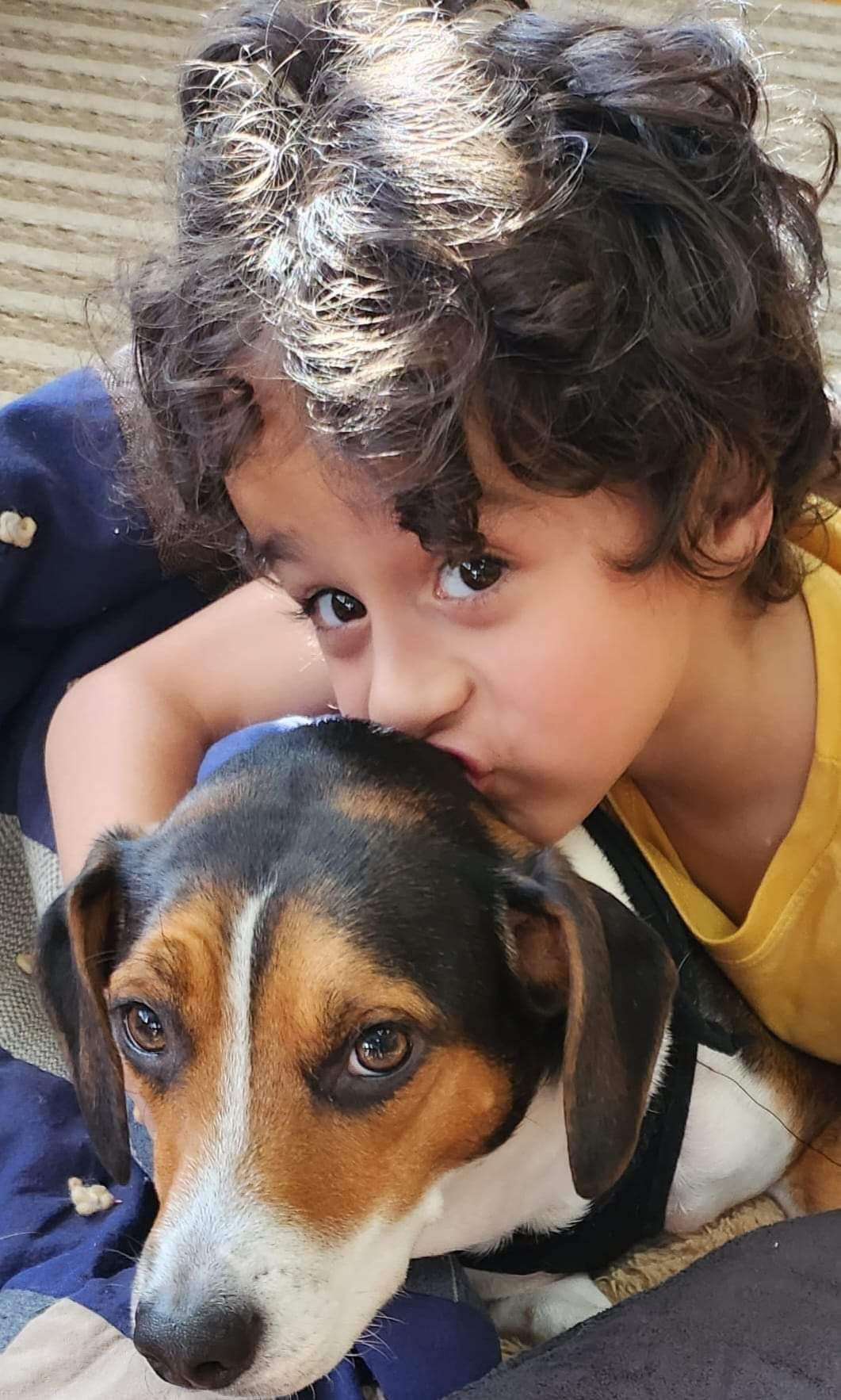 montessori child kissing a dog