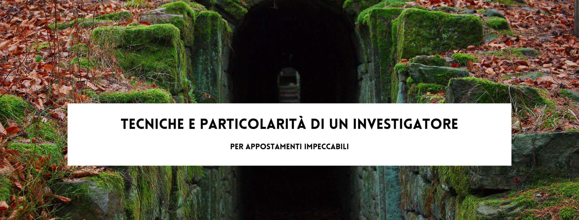 Investigatore Privato Roma