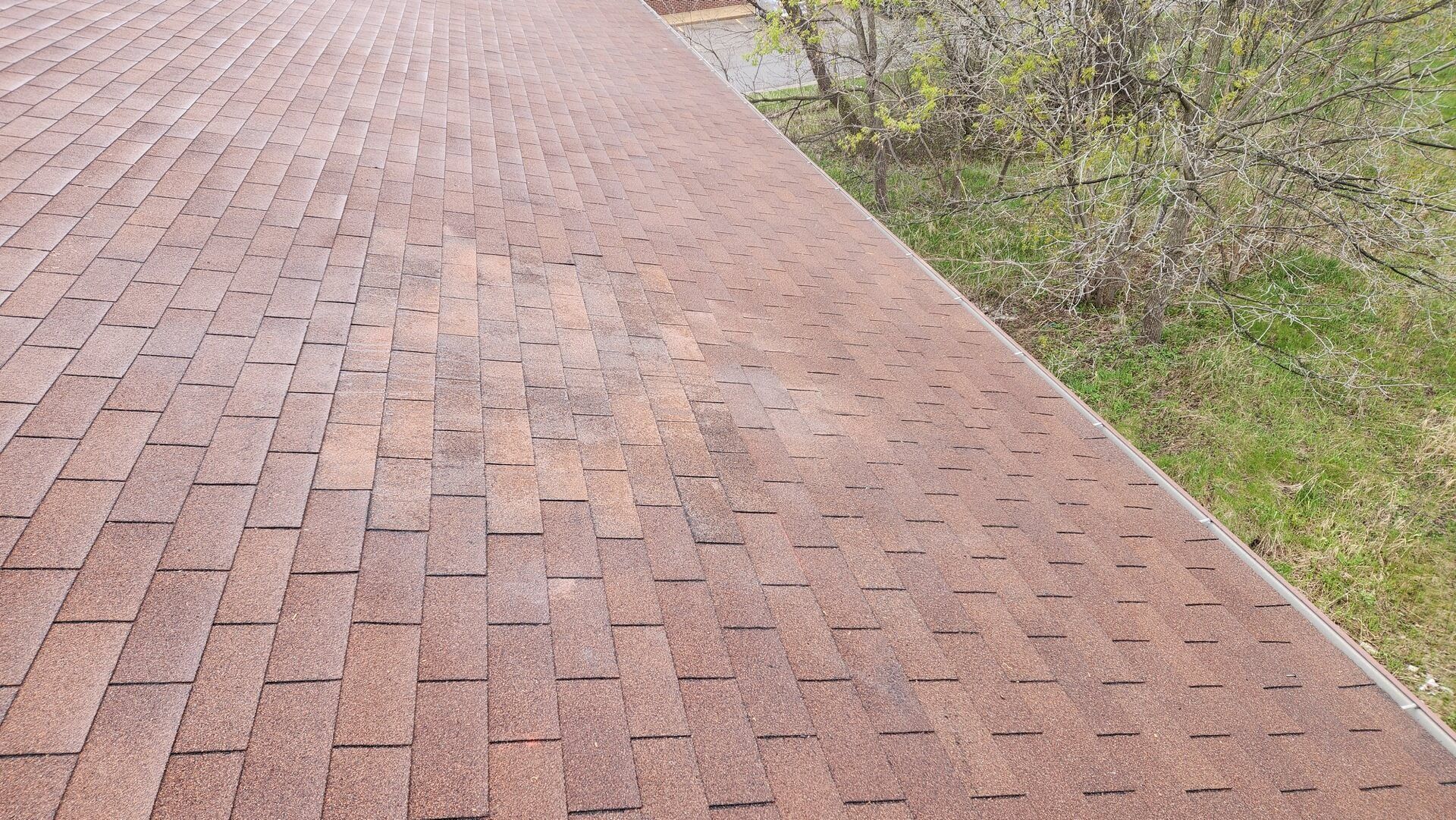 Brown asphalt shingle roof with faded patch, grass and bushes in the background.