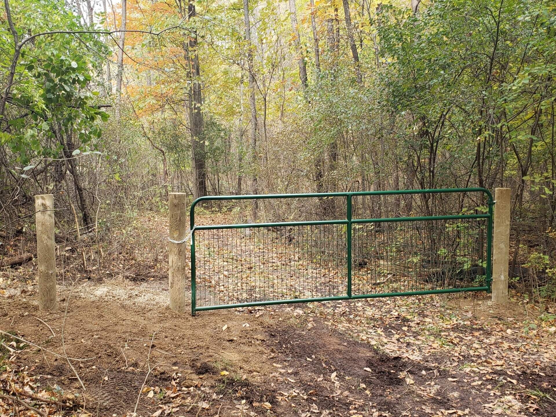 Green metal gate in a forest, flanked by concrete posts, autumn leaves on the ground.