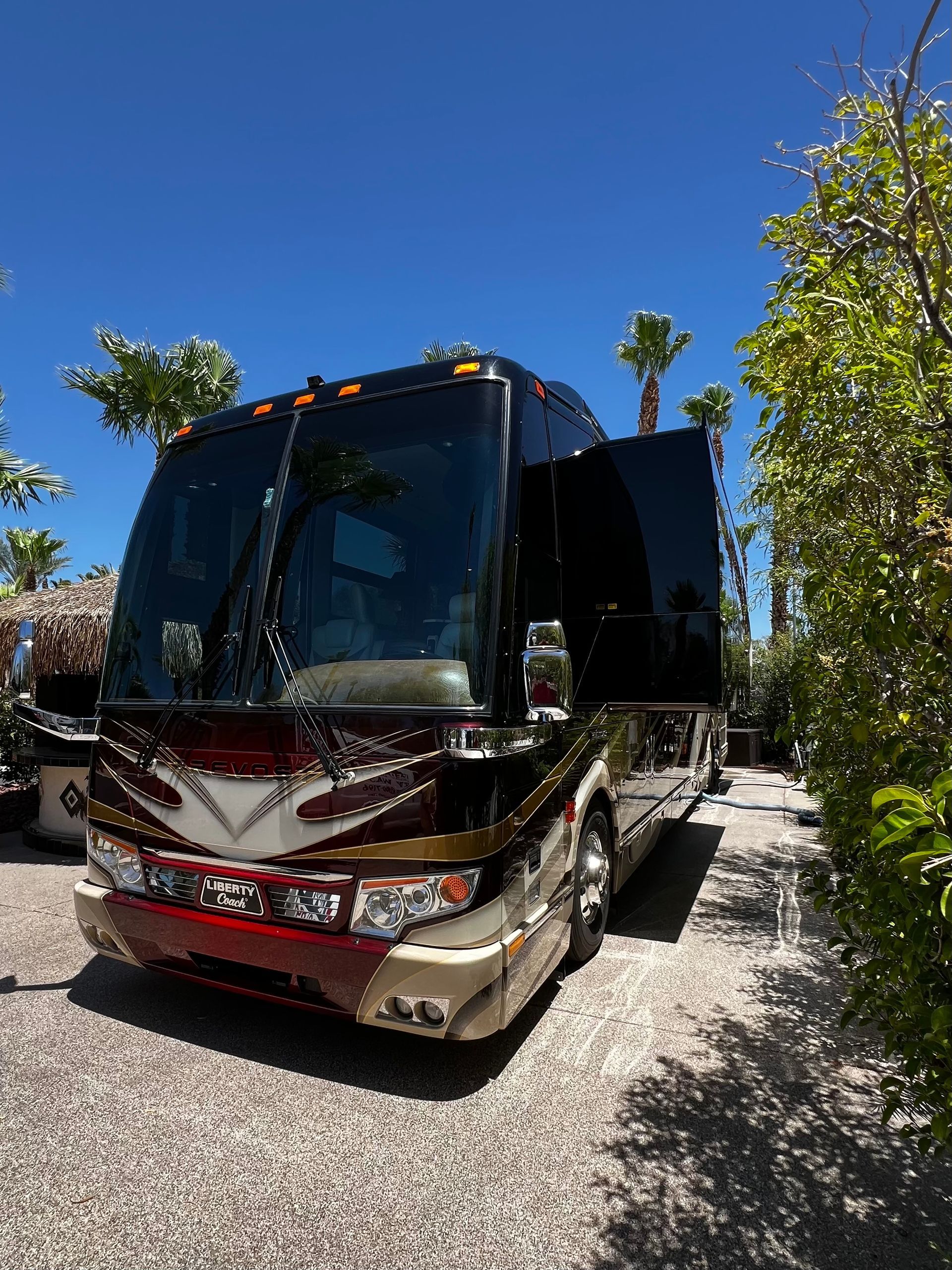 A large bus is parked in a gravel driveway surrounded by palm trees.