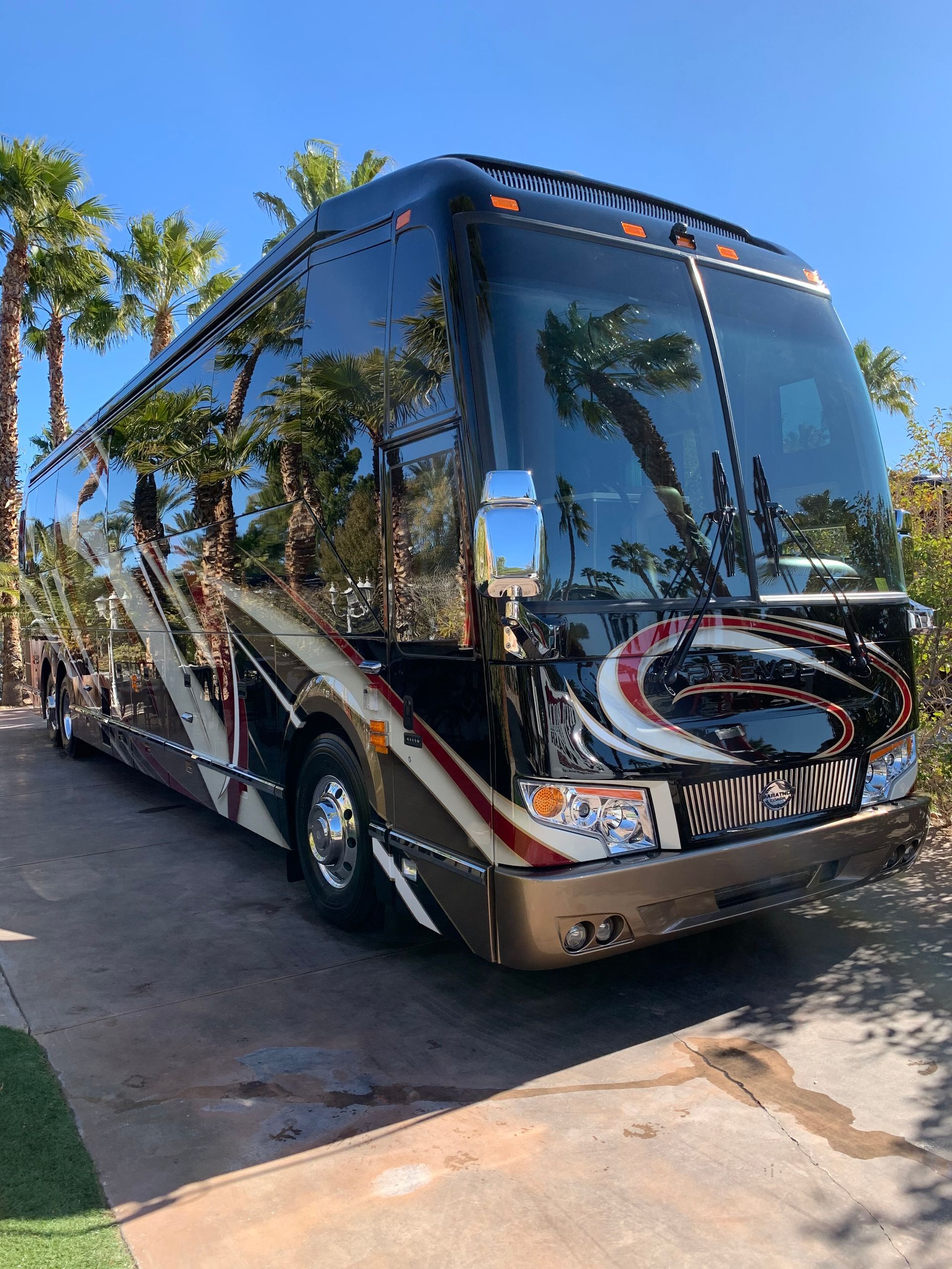 A large bus is parked in a driveway with palm trees in the background.