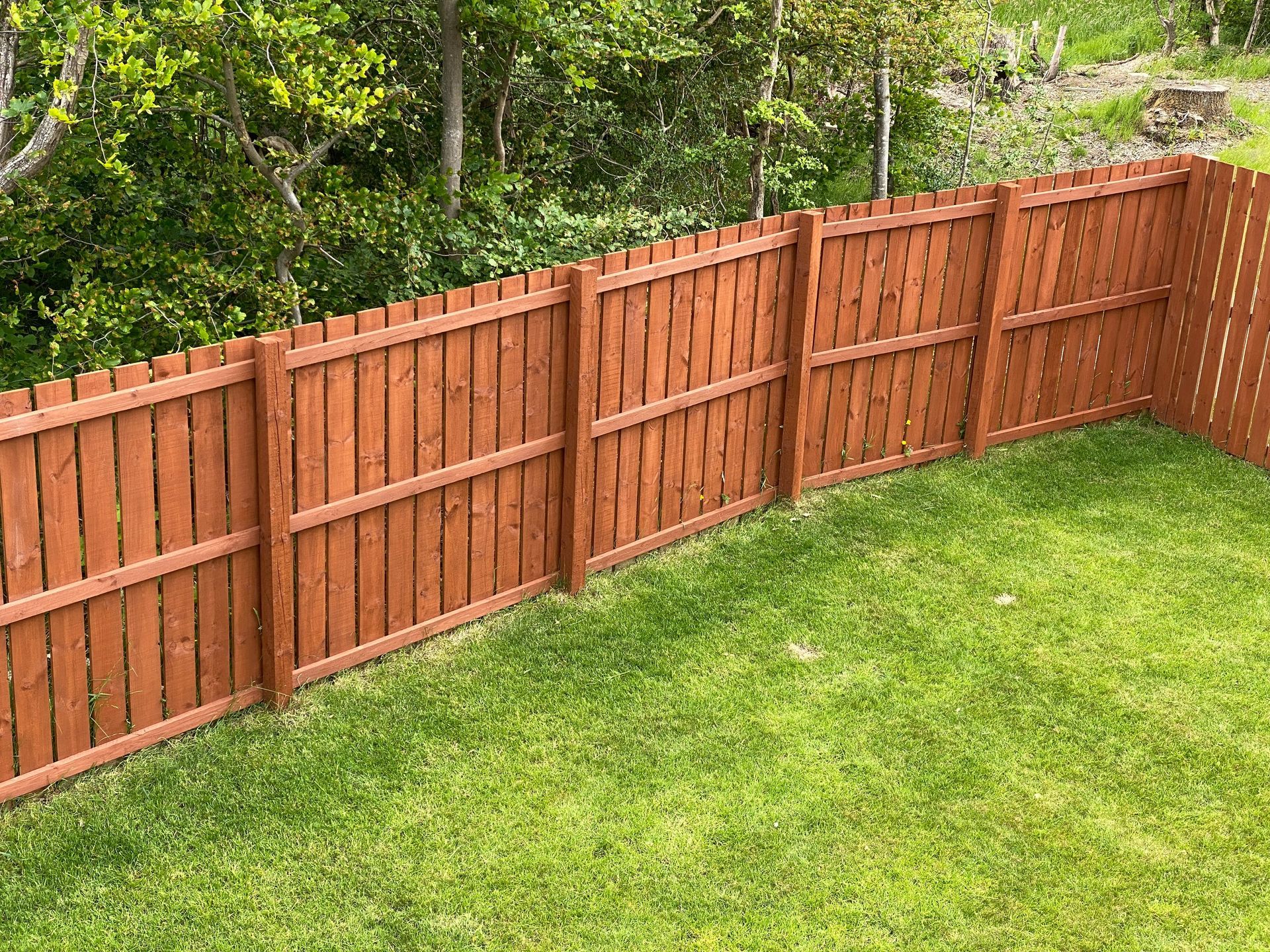 Wooden privacy fence with a natural finish surrounding a green grassy backyard.