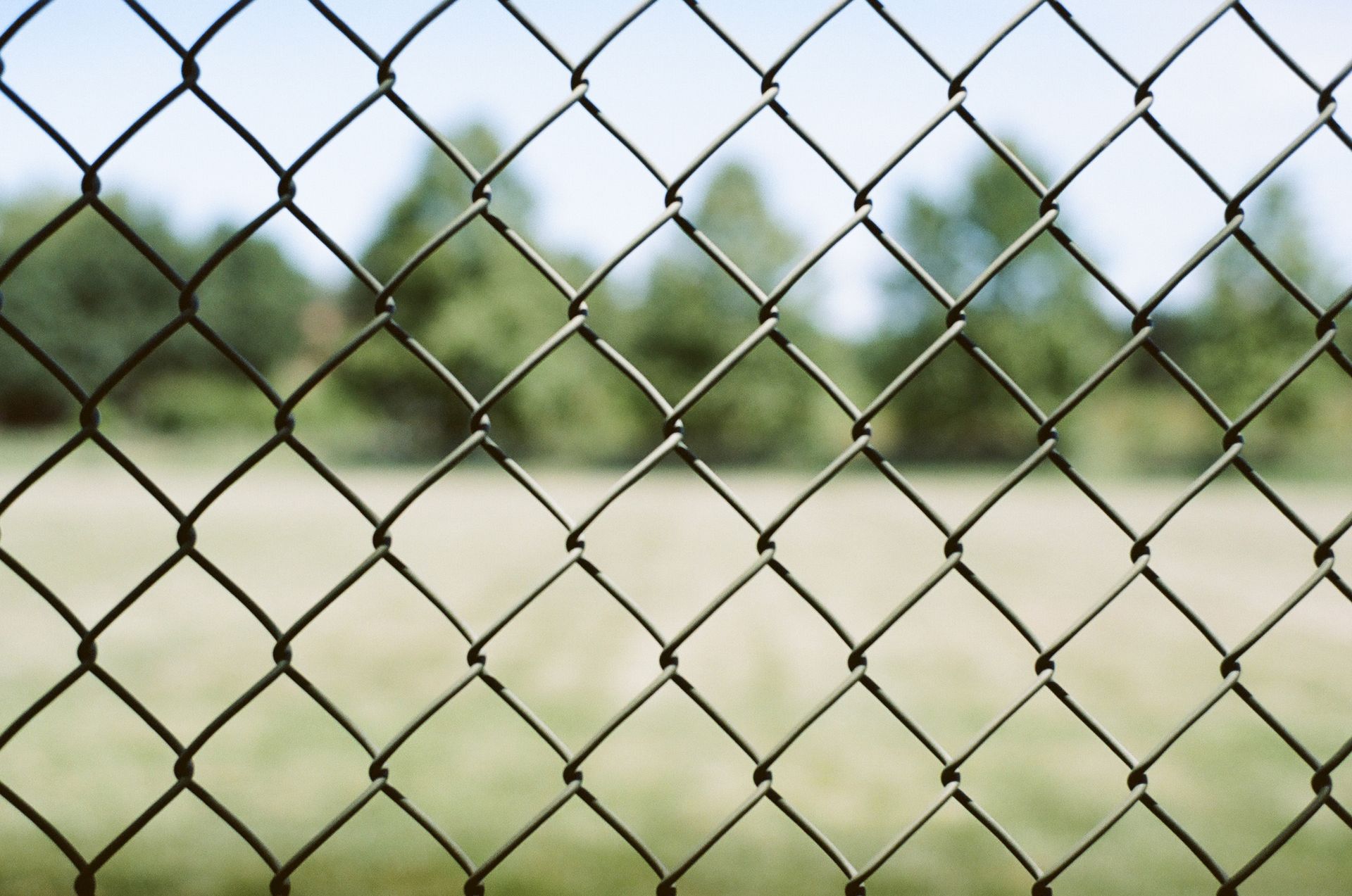 Chain-link fence with blurred green field, trees, and blue sky in background.