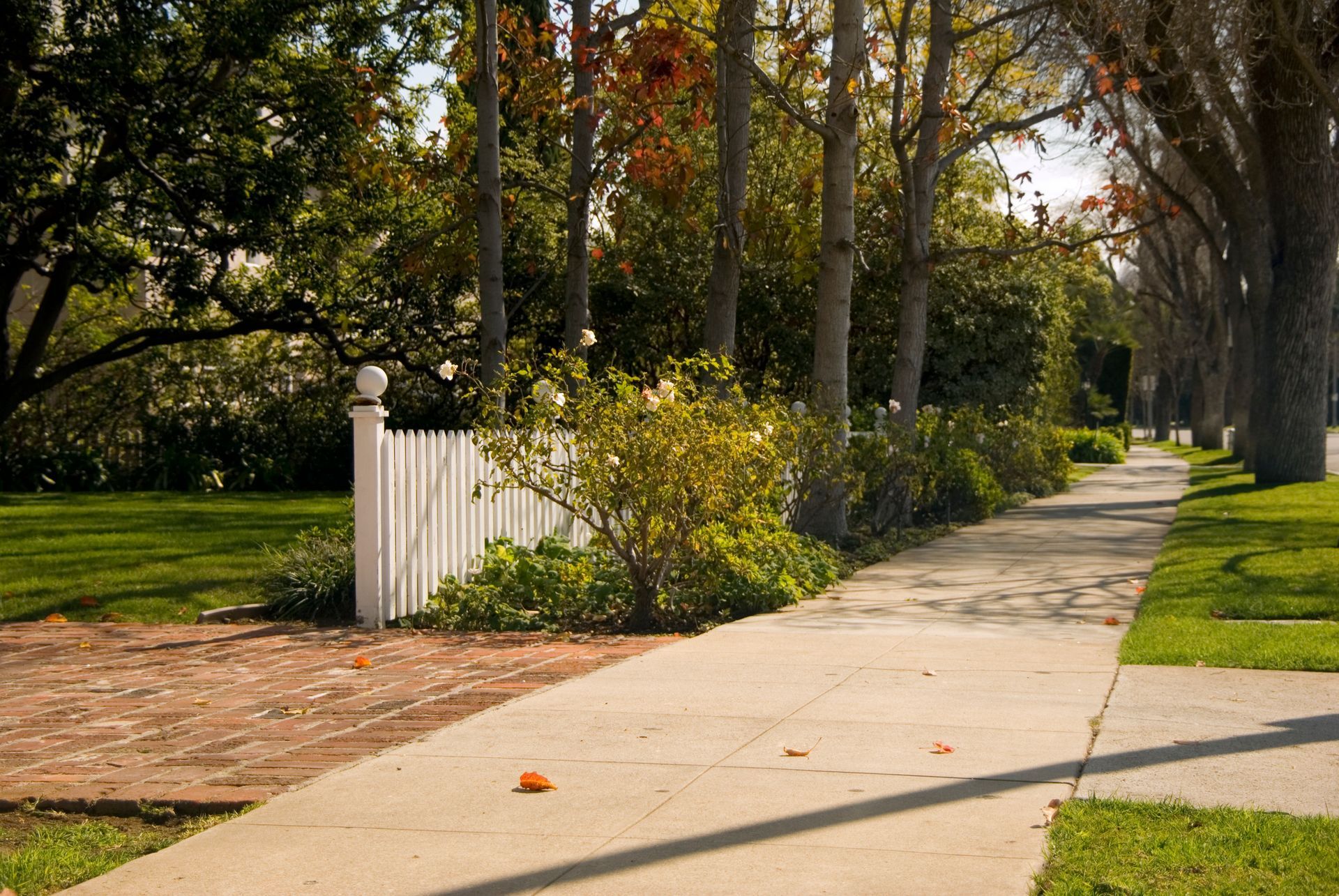 Sidewalk lined with trees and grass, white picket fence in front of greenery and a lawn.