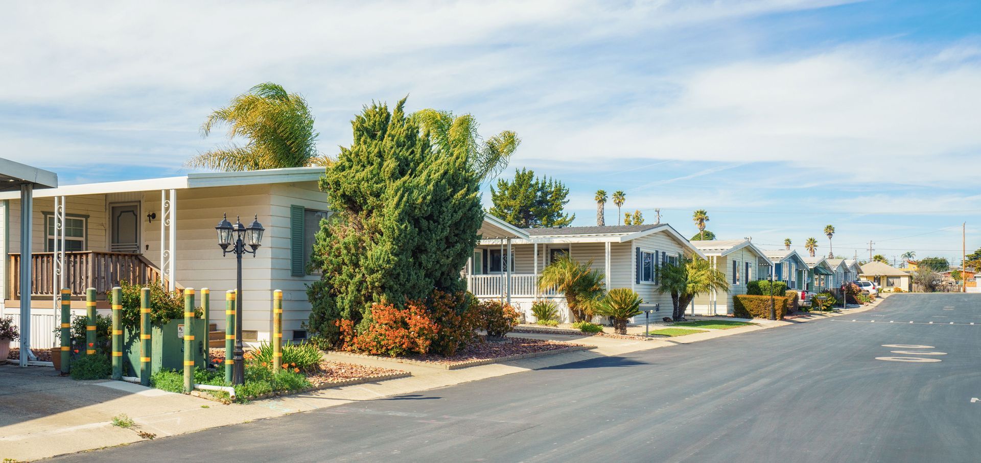 A row of manufactured homes lines a clean neighborhood street with palm trees and shrubs.