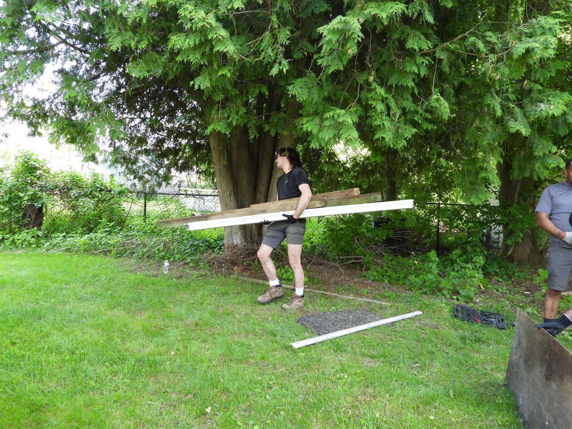 Peter shed removal 
