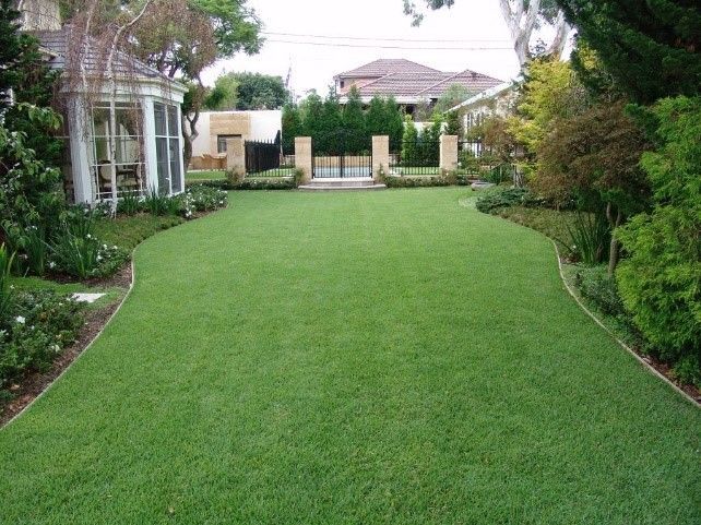 Clear Grass Lawn | Perth, Wa | Westland Turf