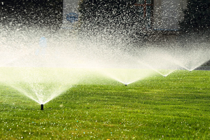 Automatic Garden Lawn Sprinkler in Action Watering Grass | Perth, Wa | Westland Turf