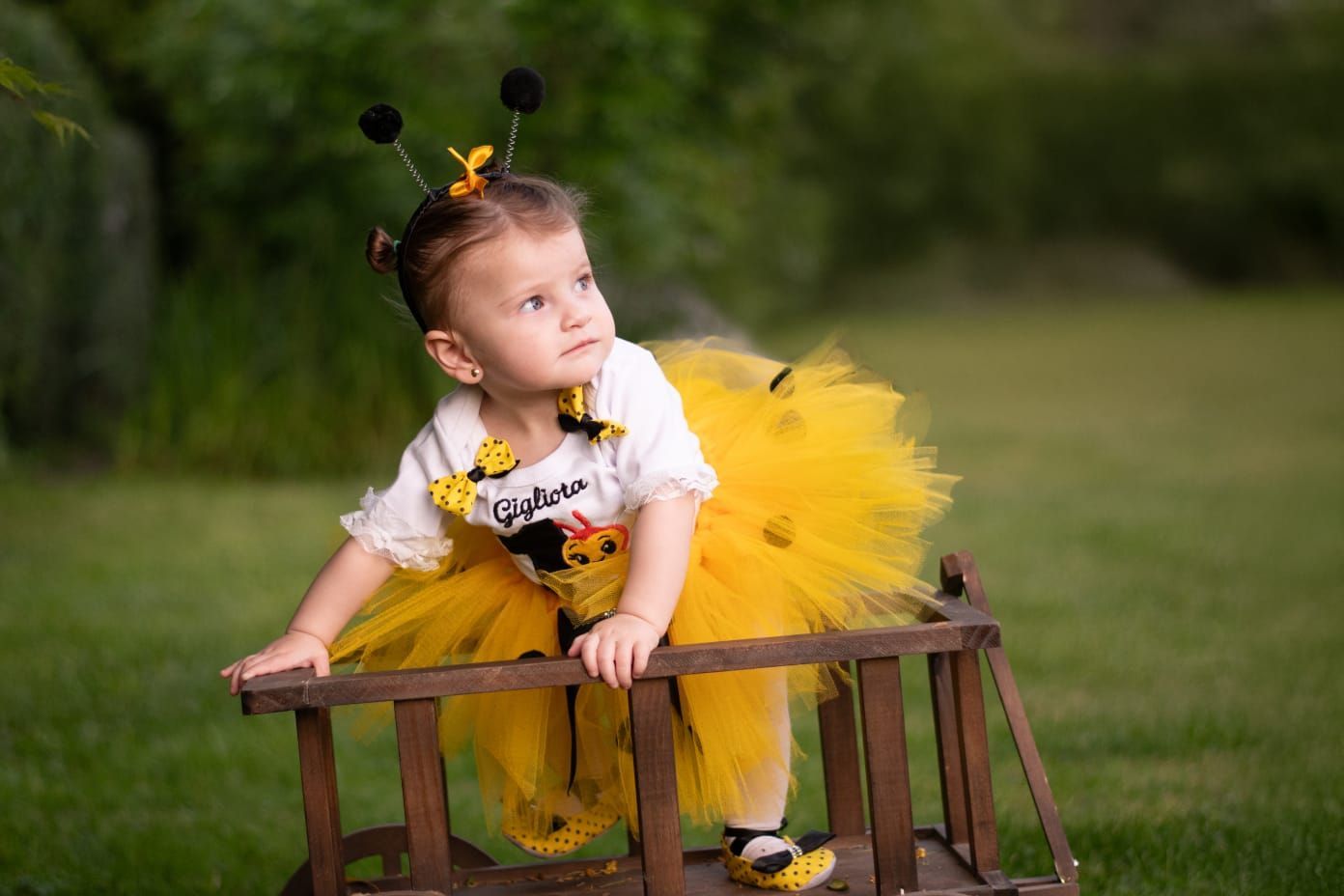 Traje de abejita personalizado de 1 a 2 A.Body de algodon personalizado con tutu de tul con apliques, zapatillas de baile en razo.vincha de antenitas