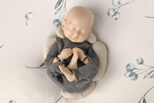 SET POSICIONADOR NEWBORN COMPLETO