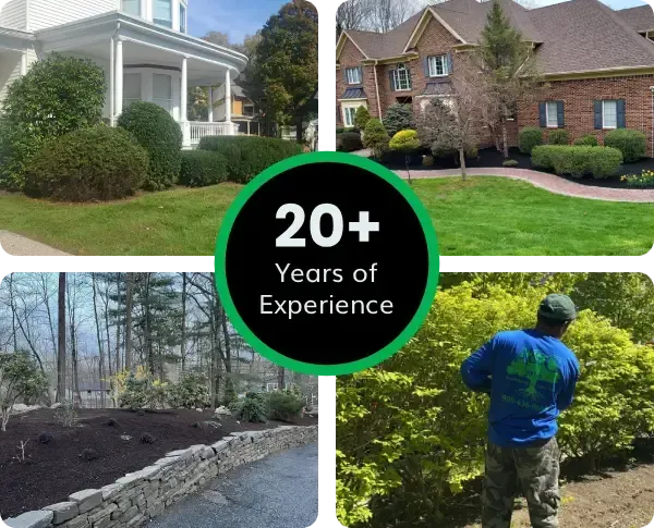 Angel Martinez owner of landscaping company inspecting residential yard project in New Jersey