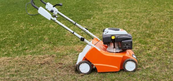 Proper lawn mowing height for cool season grasses in New Jersey to promote healthy growth and prevent weeds