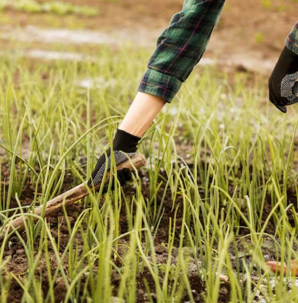 Grass seeding services in Hackettstown NJ repairing bare spots, thin turf, and winter damaged lawns