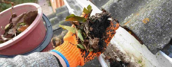 Gutter cleaning on two story home with safe access and complete system inspection in New Jersey